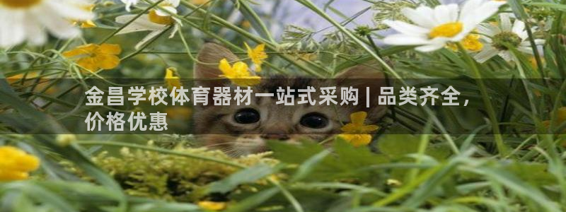 富联科技上市了吗知乎：金昌学校体育器材一站式采购 |