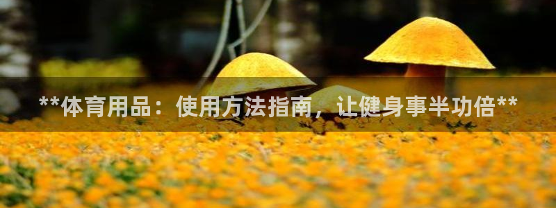 富联官方网站入口查询网址：**体育用品：使用方法指南