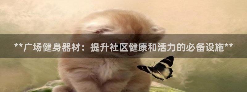 富联娱乐口 5O6917 娱乐：**广场健身器材：提