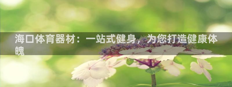 富联平台荐 585341：海口体育器材：一站式健身，