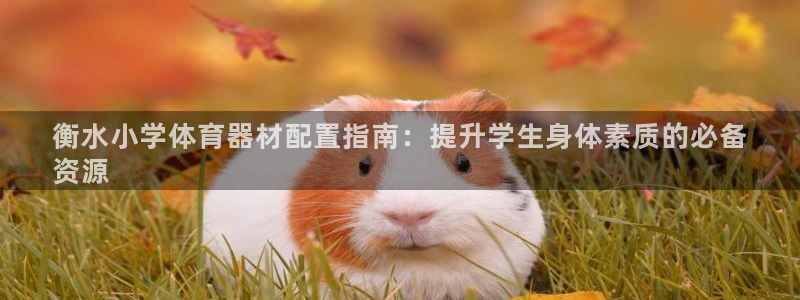 富联平台布7O777：衡水小学体育器材配置指南：提升