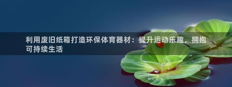 富联平台登录注册流程：利用废旧纸箱打造环保体育器材：
