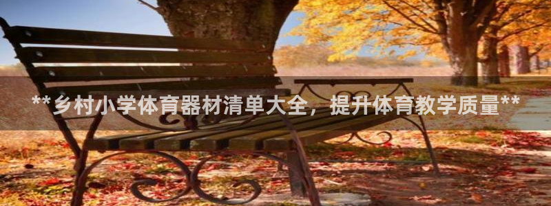 富联劳务：**乡村小学体育器材清单大全，提升体育教学