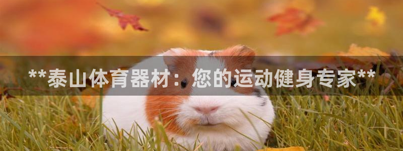 富联娱乐客户端app下载服务器失败：**泰山体育器材
