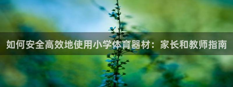 富联娱乐客服微信公众号：如何安全高效地使用小学体育器
