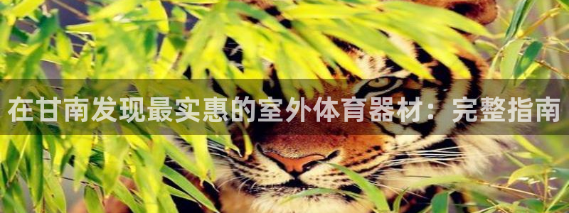 富联官方网站下载app：在甘南发现最实惠的室外体育器