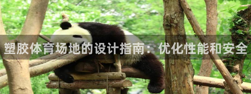 富联申购什么时候开盘：塑胶体育场地的设计指南：优化性