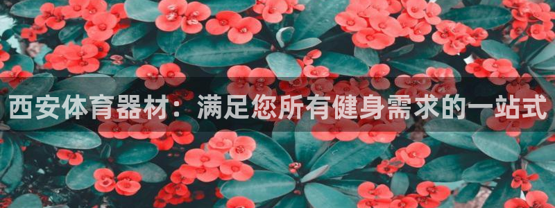 富联平台招商电话：西安体育器材：满足您所有健身需求的