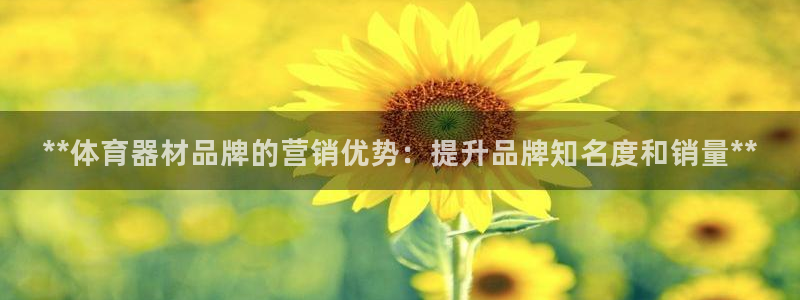 富联平台官网登录：**体育器材品牌的营销优势：提升品