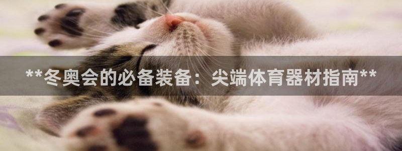 富联平台推 411031 富联：**冬奥会的必备装备