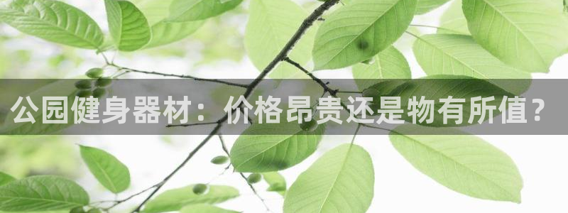 富联娱乐是什么时候开的：公园健身器材：价格昂贵还是物
