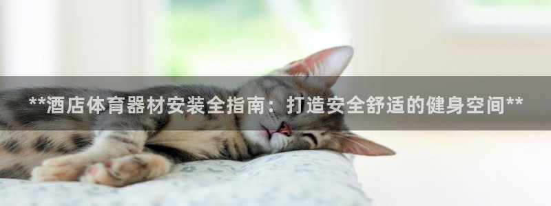 富联平台招商：**酒店体育器材安装全指南：打造安全舒
