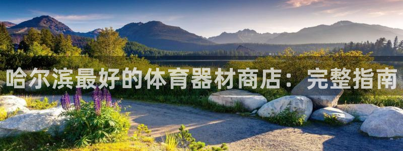 富联股份股票：哈尔滨最好的体育器材商店：完整指南