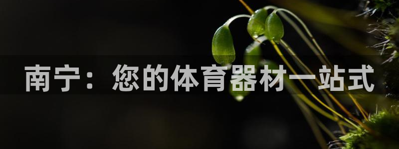 深圳富联智能制造产业创新中心：南宁：您的体育器材一站