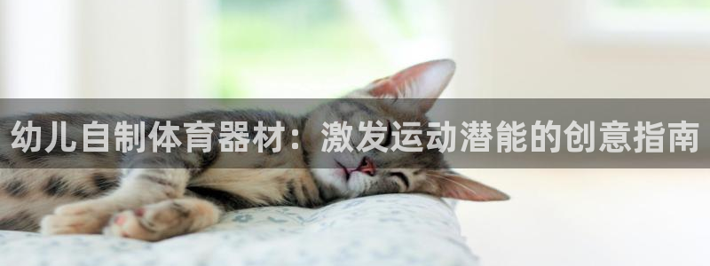 富联平台官网登录入口手机版：幼儿自制体育器材：激发运