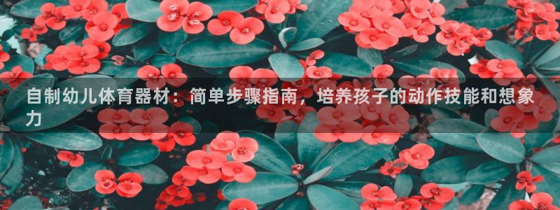 富联娱乐客户端app下载服务器：自制幼儿体育器材：简