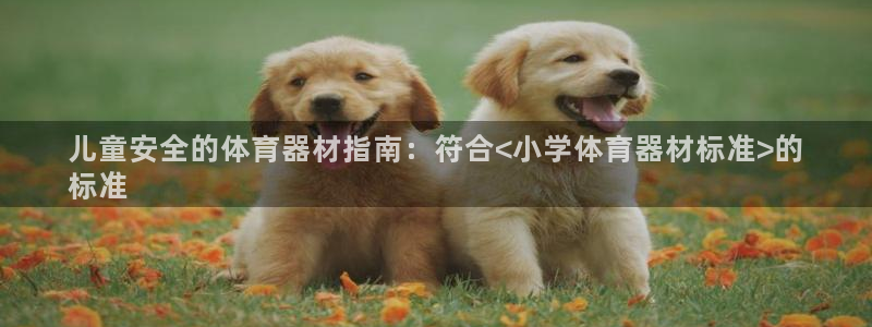 富联平台奇7O777：儿童安全的体育器材指南：符合<