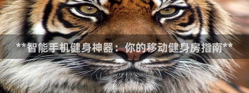 富联娱乐登录注册入口官网下载安卓：**智能手机健身神
