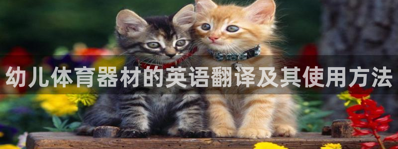 富联娱乐平台开户要钱吗现在：幼儿体育器材的英语翻译及