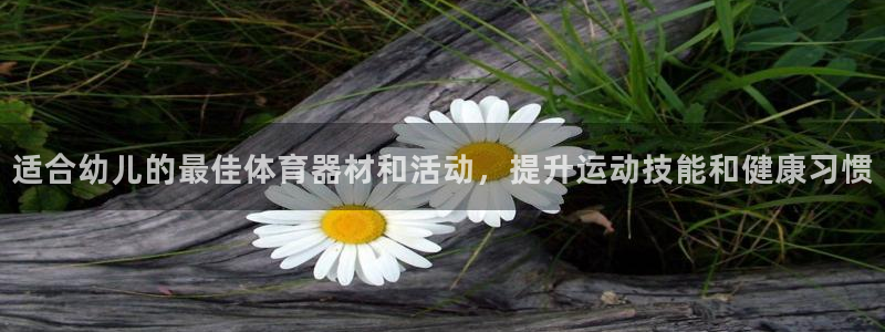富联是什么意思网络用语：适合幼儿的最佳体育器材和活动