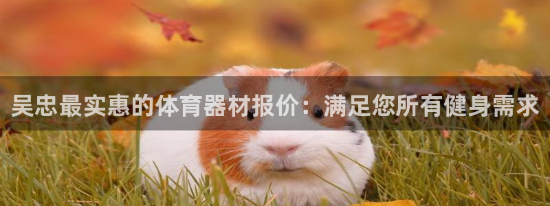 富联官方网站入口：吴忠最实惠的体育器材报价：满足您所