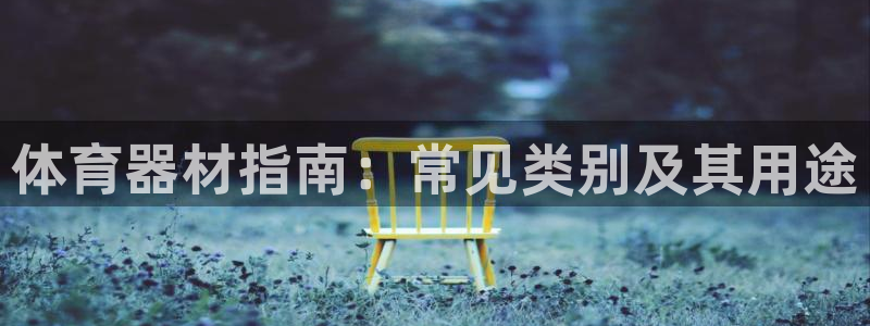 富联是什么股票板块：体育器材指南：常见类别及其用途