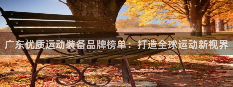 富联娱乐代理怎么做：广东优质运动装备品牌榜单：打造全