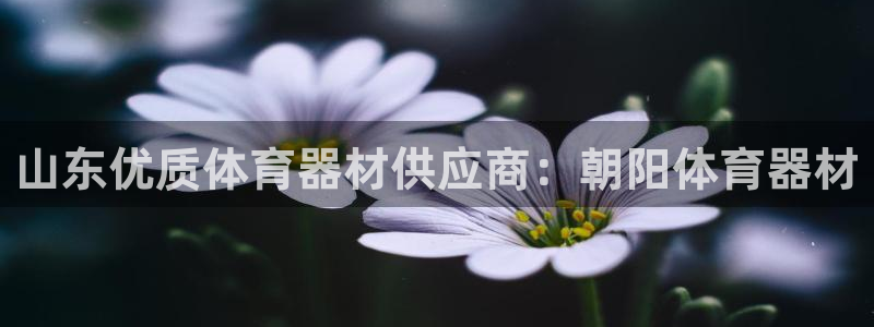 富联平台升 5O6917 平台：山东优质体育器材供应