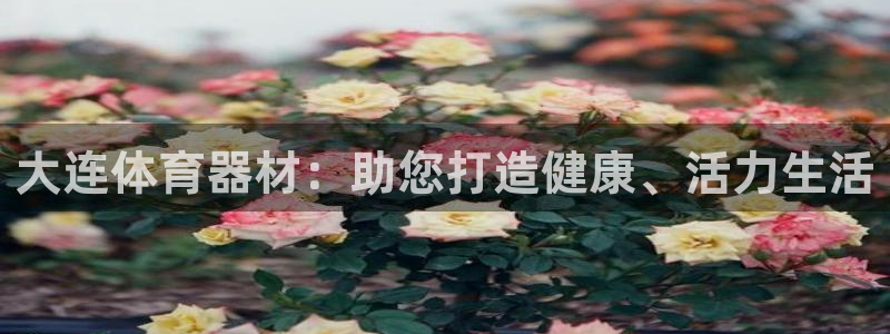 富联平台布7O777：大连体育器材：助您打造健康、活