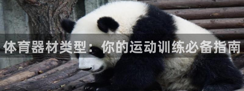 富联物业：体育器材类型：你的运动训练必备指南