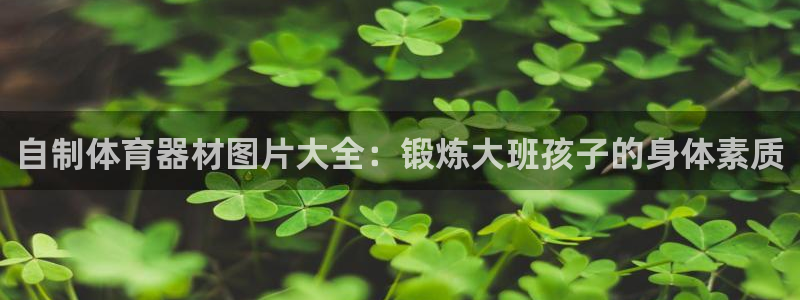 富联平台登录网址查询：自制体育器材图片大全：锻炼大班