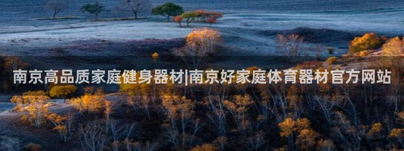 富联娱乐测速登录不上：南京高品质家庭健身器材|南京好