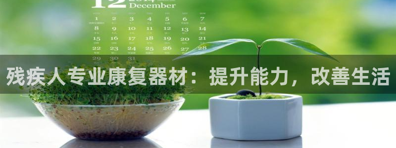 富联平台万 3.7.OO.7.3.5：残疾人专业康复