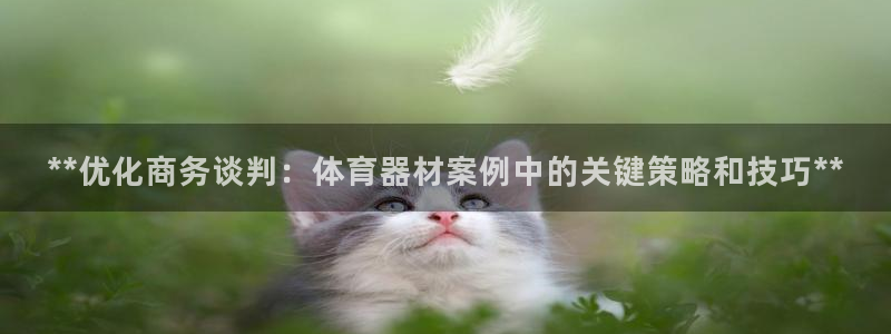 富联官方网站首页入口下载：**优化商务谈判：体育器材