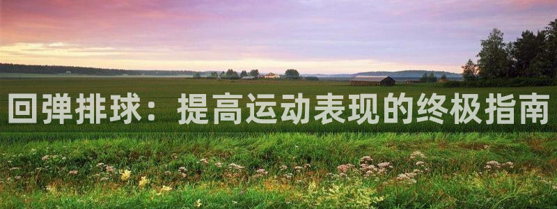 富联娱乐测速登录不了：回弹排球：提高运动表现的终极指