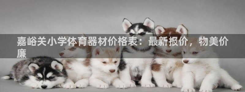 富联娱乐是什么时候开的股票：嘉峪关小学体育器材价格表