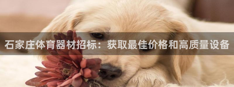 富联娱乐官方网站下载：石家庄体育器材招标：获取最佳价