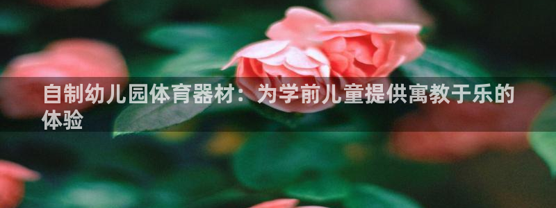 富联娱乐平台开户条件有哪些：自制幼儿园体育器材：为学