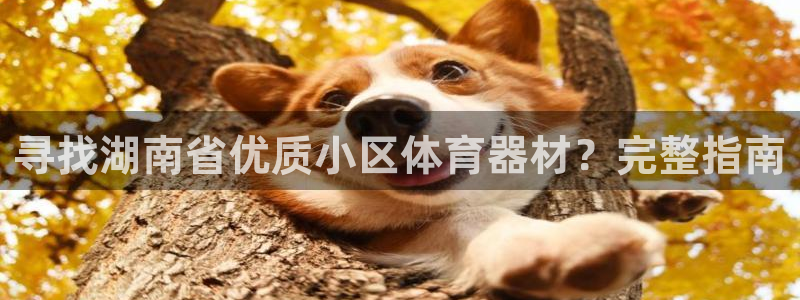 富联娱乐登录注册入口官网网址是什么：寻找湖南省优质小