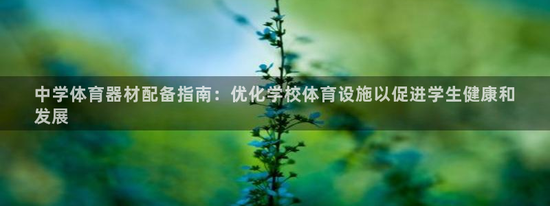 富联股份股票：中学体育器材配备指南：优化学校体育设施