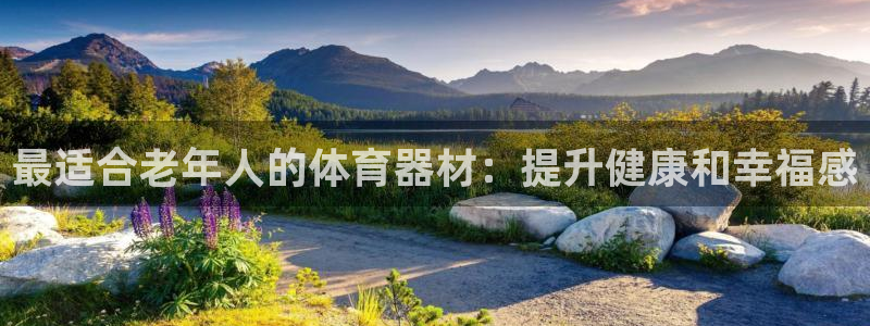 富联娱乐平台能挣到钱吗：最适合老年人的体育器材：提升