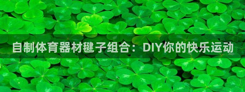 富联娱乐是什么时候开的：自制体育器材毽子组合：DIY