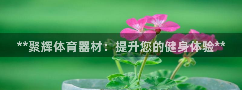 富联平台代理注册要钱吗：**聚辉体育器材：提升您的健