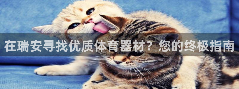 富联超市：在瑞安寻找优质体育器材？您的终极指南