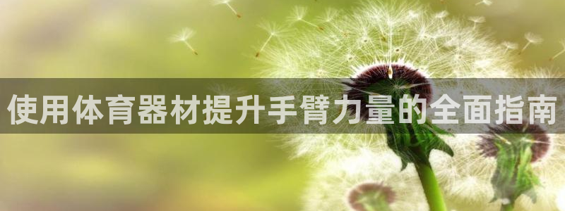 富联集团董事长：使用体育器材提升手臂力量的全面指南