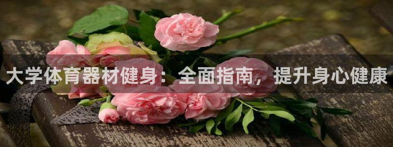富联劳务：大学体育器材健身：全面指南，提升身心健康