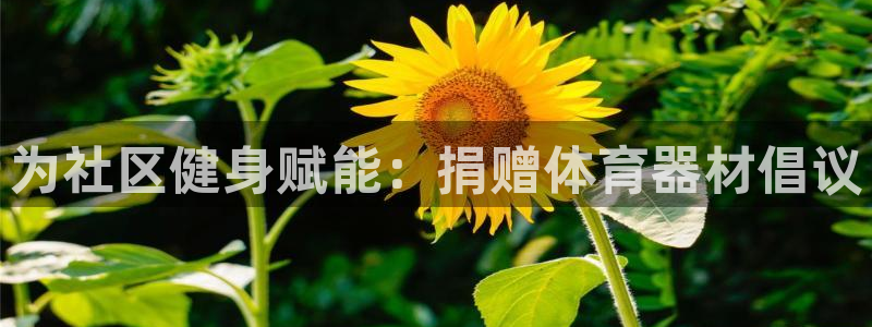 富联平台代理注册流程：为社区健身赋能：捐赠体育器材倡