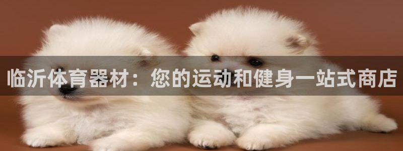 富联平台线路检测中心：临沂体育器材：您的运动和健身一