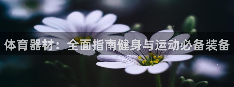 富联娱乐正规吗可靠吗：体育器材：全面指南健身与运动必
