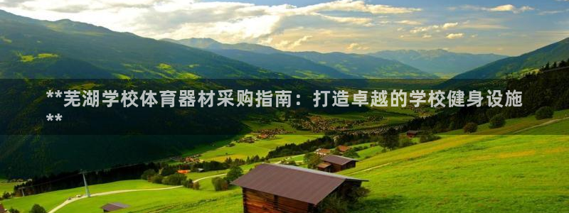 富联智能工坊：**芜湖学校体育器材采购指南：打造卓越